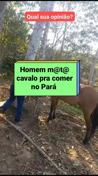 homem mata cavalo pra comer a carne